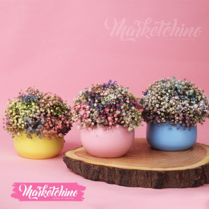Decor Natural Baby Flower ( one  piece )