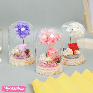 Glass Decor