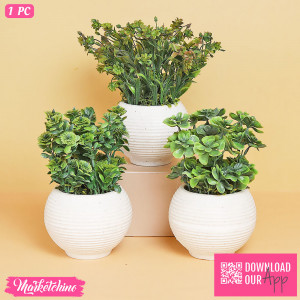  Plant