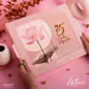 Box Daily planner Perfect - Lotus  ( 2025 )