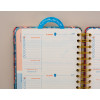 Daily Agenda Wired - El Dorado  ( 2025 )