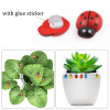 Ladybugs 