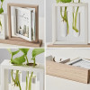 tableau 