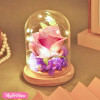 Glass Decor