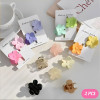 hair clips random