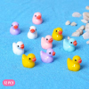 12pcs Duck Design Garden Decoration Craft