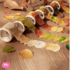 1pc  Random Beautiful Leaf Washi Tape For Journaling And Scrapbooking