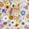 46pcs 