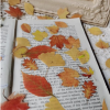 40pcs Maple Leaf Pattern Sticker