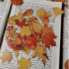 40pcs Maple Leaf Pattern Sticker