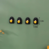 4pcs Duck Design Wall Hook