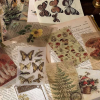 60pcs Mixed Pattern Random Sticker