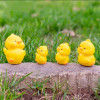 5pcs Cute Miniature Chicken Car Decoration
