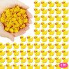 Ducks 