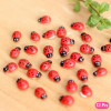 Ladybugs 