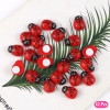 Ladybugs 