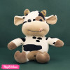 toy