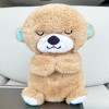 toy