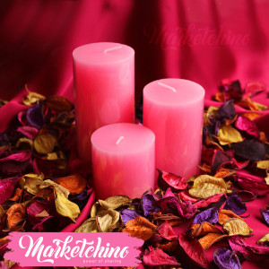 Dried Flowers-Decoration