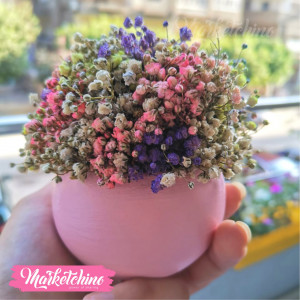 Decor Natural Baby Flower ( one  piece )