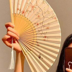 Chinese Style Foldable Fan