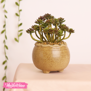 Artificial Ceramic Plant-Beige