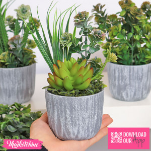  Plant