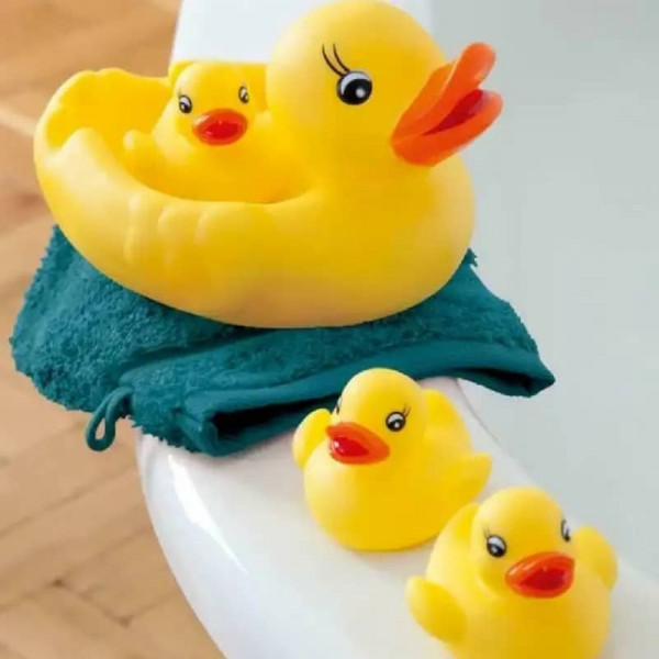 duck