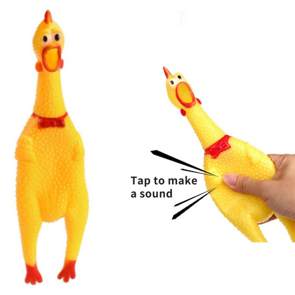 Chicken 