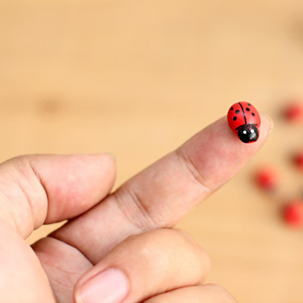 Ladybugs 