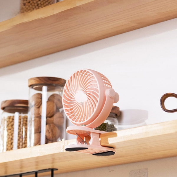 fan