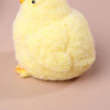 Toy 