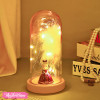 Glass Lighting Lamp