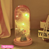 Glass Lighting Lamp