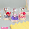 Glass Decor